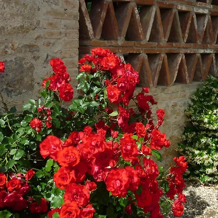 Fattoria Nerbona * Casole dʼElsa