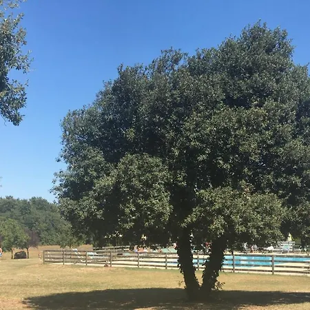 Fattoria Nerbona Vakantieboerderij