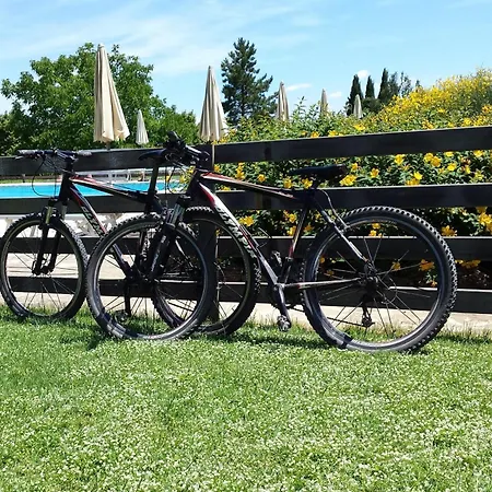 Vakantieboerderij Fattoria Nerbona Casole dʼElsa
