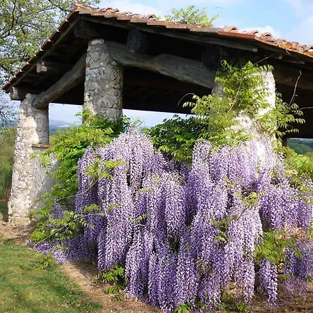 Fattoria Nerbona Vakantieboerderij