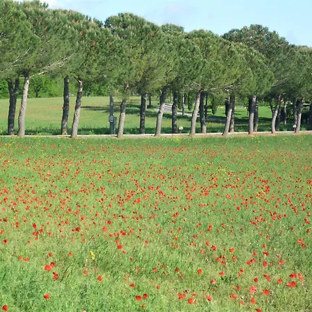 Vakantieboerderij Fattoria Nerbona