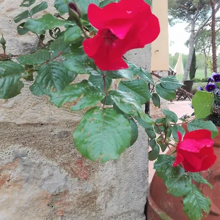 Vakantieboerderij Fattoria Nerbona Casole dʼElsa