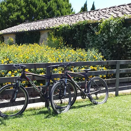 Vakantieboerderij Fattoria Nerbona