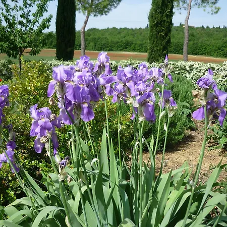 Fattoria Nerbona * Casole dʼElsa