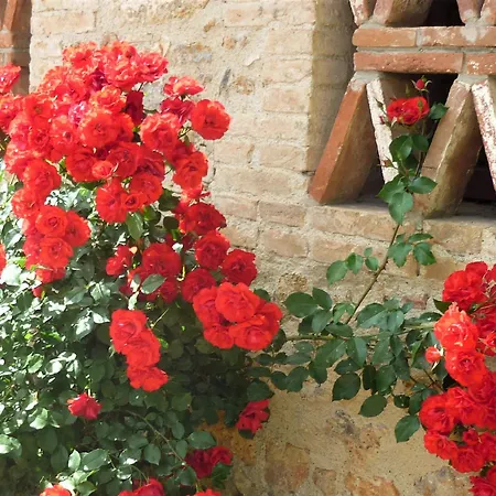Fattoria Nerbona