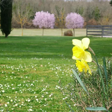 Vakantieboerderij Fattoria Nerbona