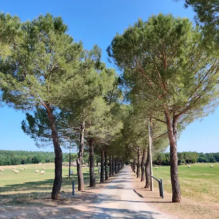 Vakantieboerderij Fattoria Nerbona